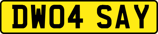 DW04SAY