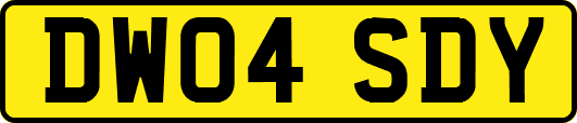 DW04SDY