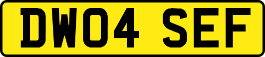 DW04SEF