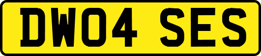 DW04SES