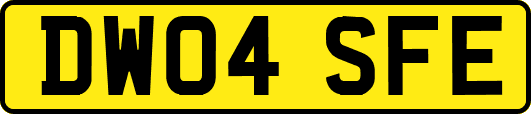 DW04SFE