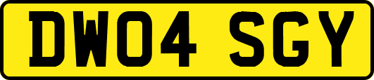DW04SGY
