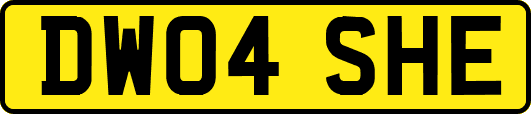 DW04SHE