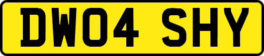 DW04SHY