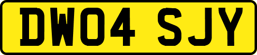 DW04SJY