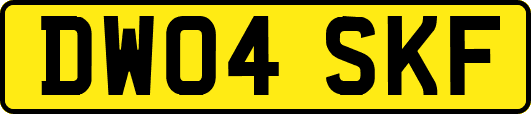 DW04SKF
