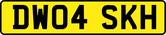 DW04SKH