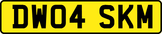 DW04SKM