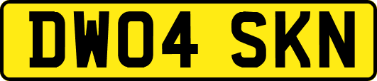 DW04SKN