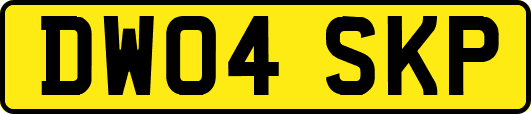 DW04SKP