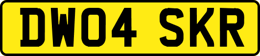 DW04SKR