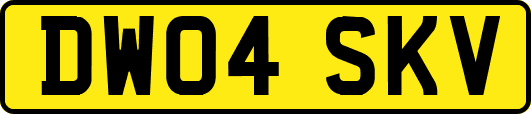 DW04SKV