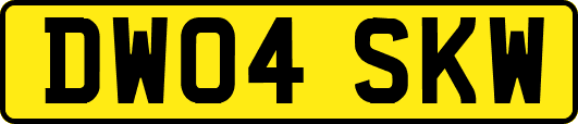 DW04SKW
