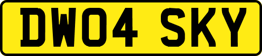 DW04SKY