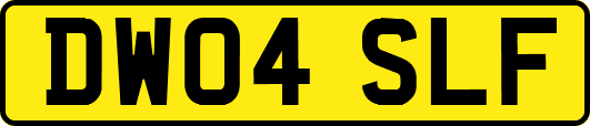 DW04SLF