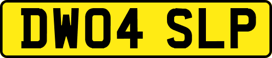 DW04SLP