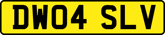 DW04SLV