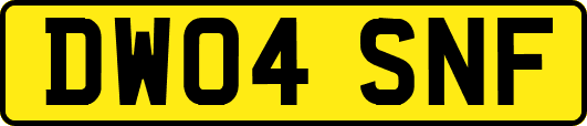 DW04SNF