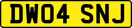 DW04SNJ