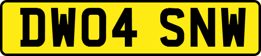 DW04SNW