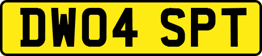 DW04SPT