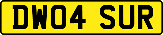 DW04SUR