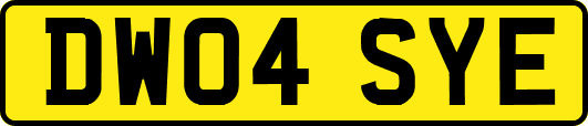 DW04SYE