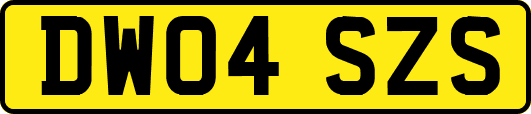 DW04SZS
