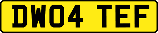 DW04TEF