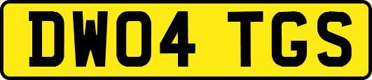 DW04TGS