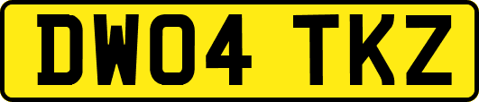 DW04TKZ