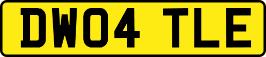 DW04TLE