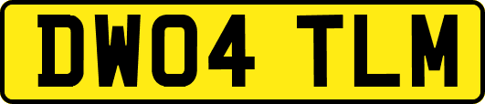 DW04TLM