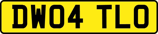 DW04TLO