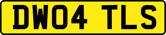 DW04TLS