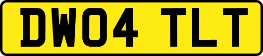 DW04TLT