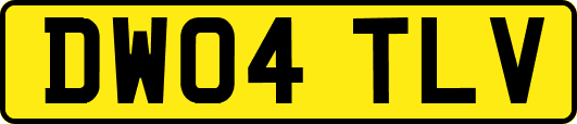 DW04TLV