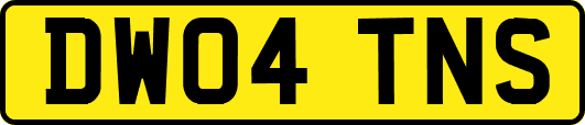 DW04TNS
