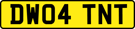 DW04TNT