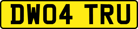 DW04TRU