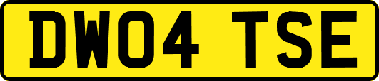 DW04TSE