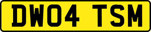 DW04TSM