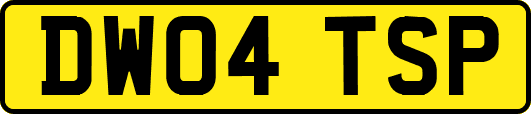 DW04TSP
