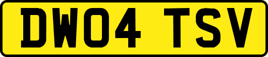 DW04TSV