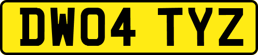 DW04TYZ