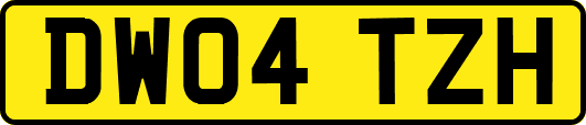 DW04TZH
