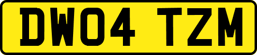 DW04TZM