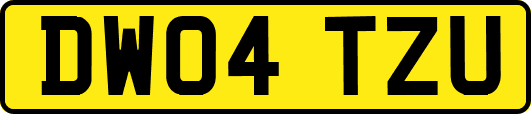DW04TZU