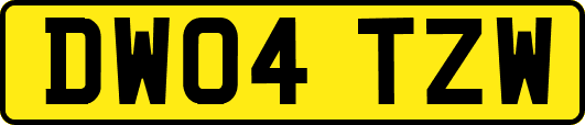 DW04TZW