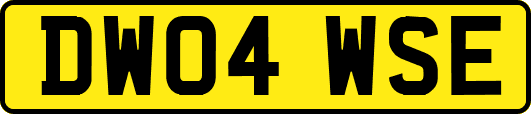 DW04WSE